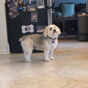 Meet your Posher, Danny